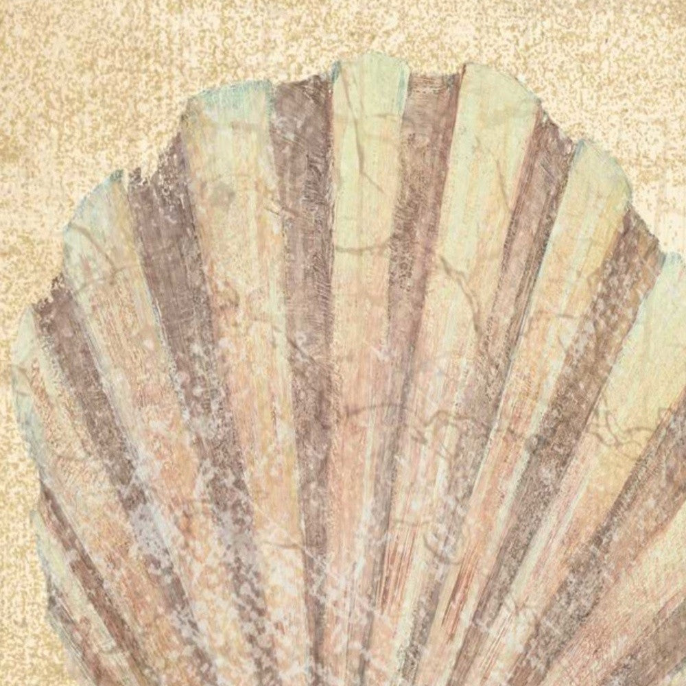 HomeRoots 24" Bohemian Pastel Seashell Giclee Wrap Canvas Wall Art