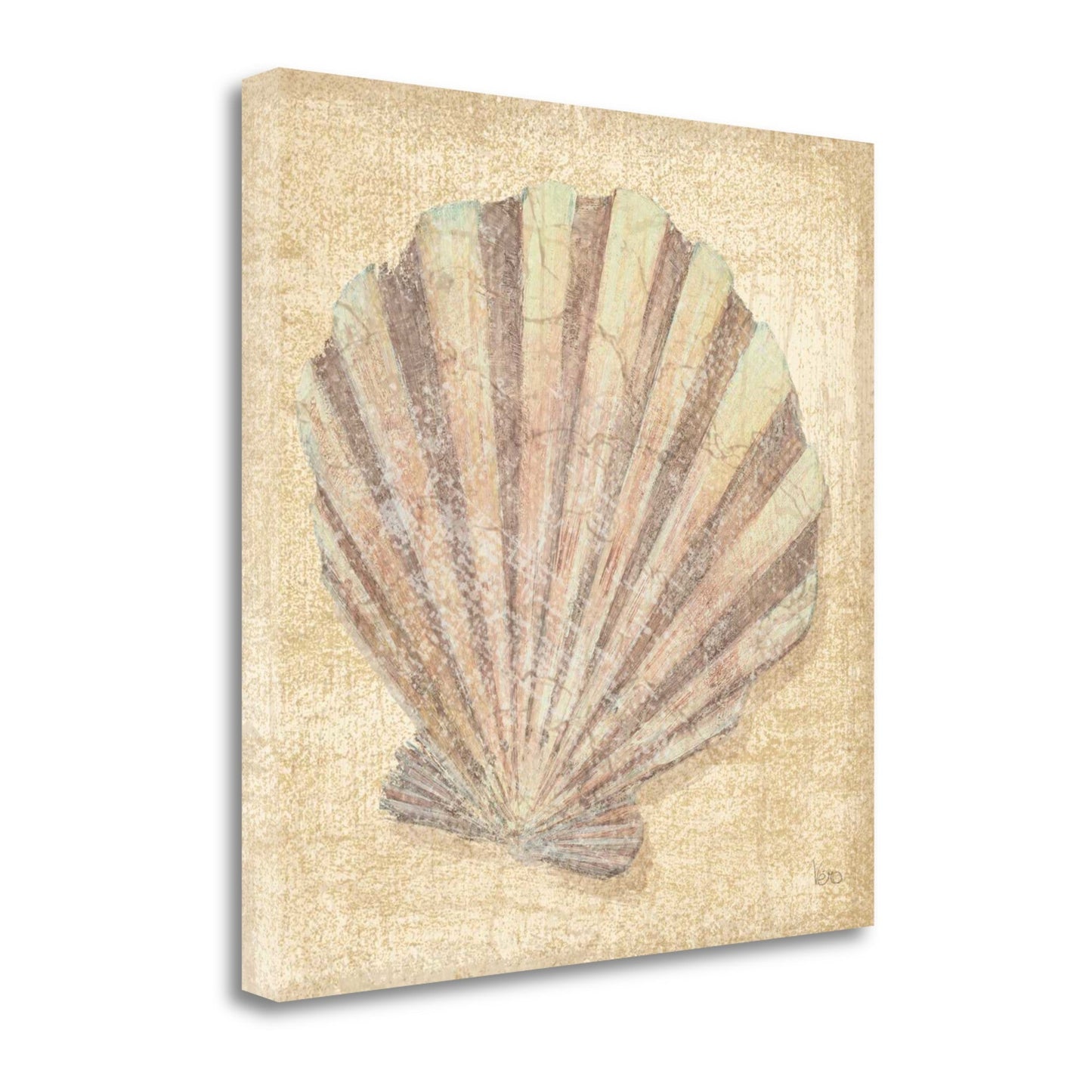 HomeRoots 24" Bohemian Pastel Seashell Giclee Wrap Canvas Wall Art