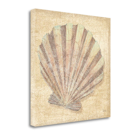 HomeRoots 24" Bohemian Pastel Seashell Giclee Wrap Canvas Wall Art