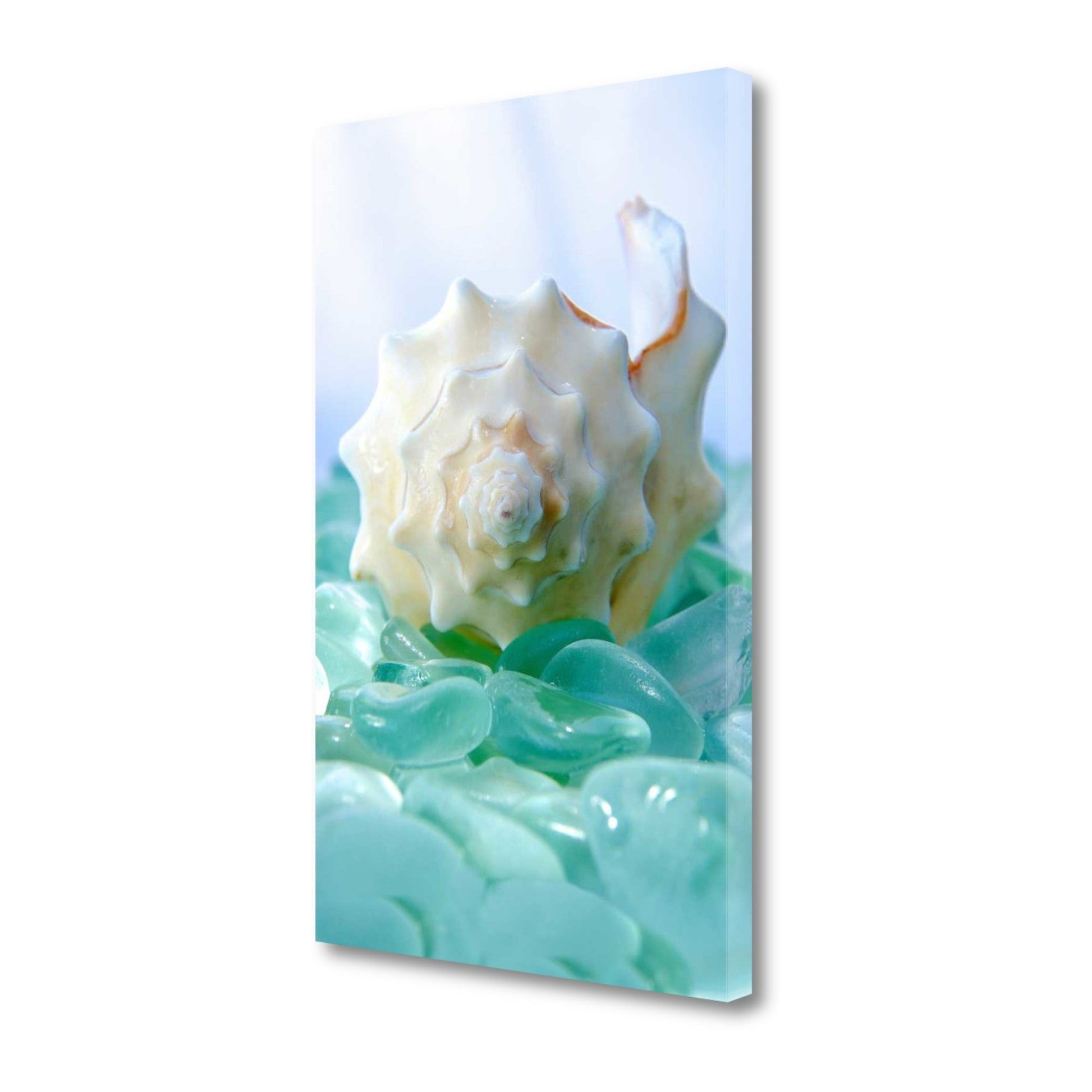 HomeRoots 24" Conchshell and Blue Seaglass Giclee Wrap Canvas Wall Art