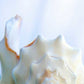 HomeRoots 24" Conchshell and Blue Seaglass Giclee Wrap Canvas Wall Art