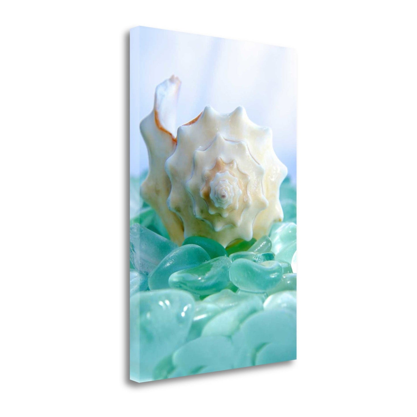 HomeRoots 24" Conchshell and Blue Seaglass Giclee Wrap Canvas Wall Art