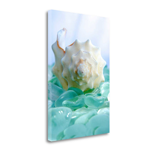 HomeRoots 24" Conchshell and Blue Seaglass Giclee Wrap Canvas Wall Art