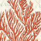 HomeRoots 24" Fancy Orange Underwater Coral 2 Giclee Wrap Canvas Wall Art