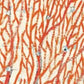 HomeRoots 24" Full Orange Underwater Coral 2 Giclee Wrap Canvas Wall Art