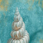 HomeRoots 24" Majestic Seashell in the Bright Blue Sea Giclee Wrap Canvas Wall Art