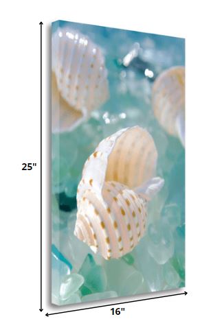 HomeRoots 24" Seashell and Seaglass Giclee Wrap Canvas Wall Art