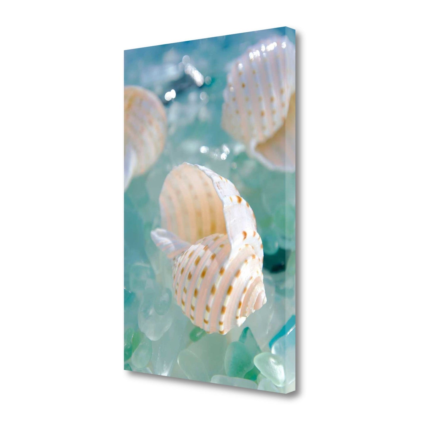 HomeRoots 24" Seashell and Seaglass Giclee Wrap Canvas Wall Art