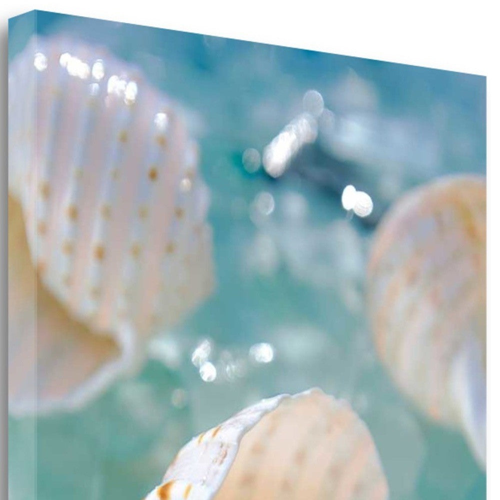 HomeRoots 24" Seashell and Seaglass Giclee Wrap Canvas Wall Art