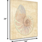 HomeRoots 24" Soft Pastel Seashell Giclee Wrap Canvas Wall Art