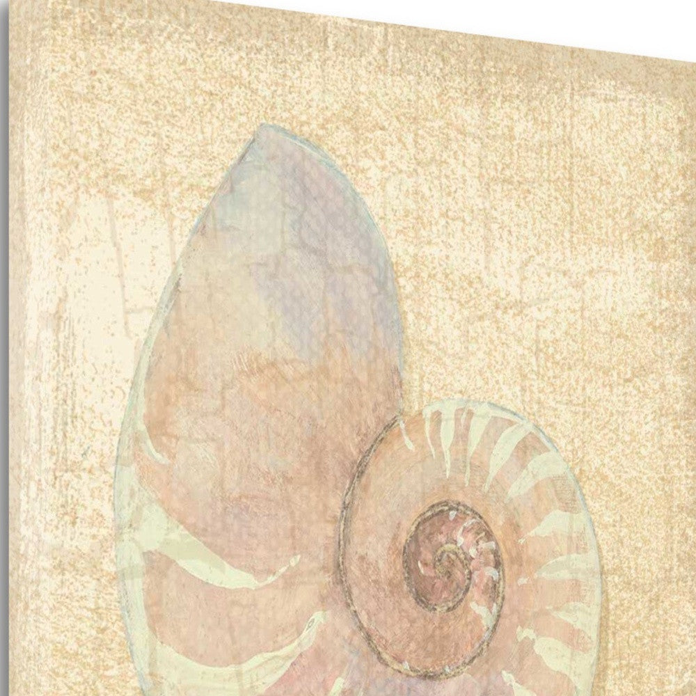 HomeRoots 24" Soft Pastel Seashell Giclee Wrap Canvas Wall Art