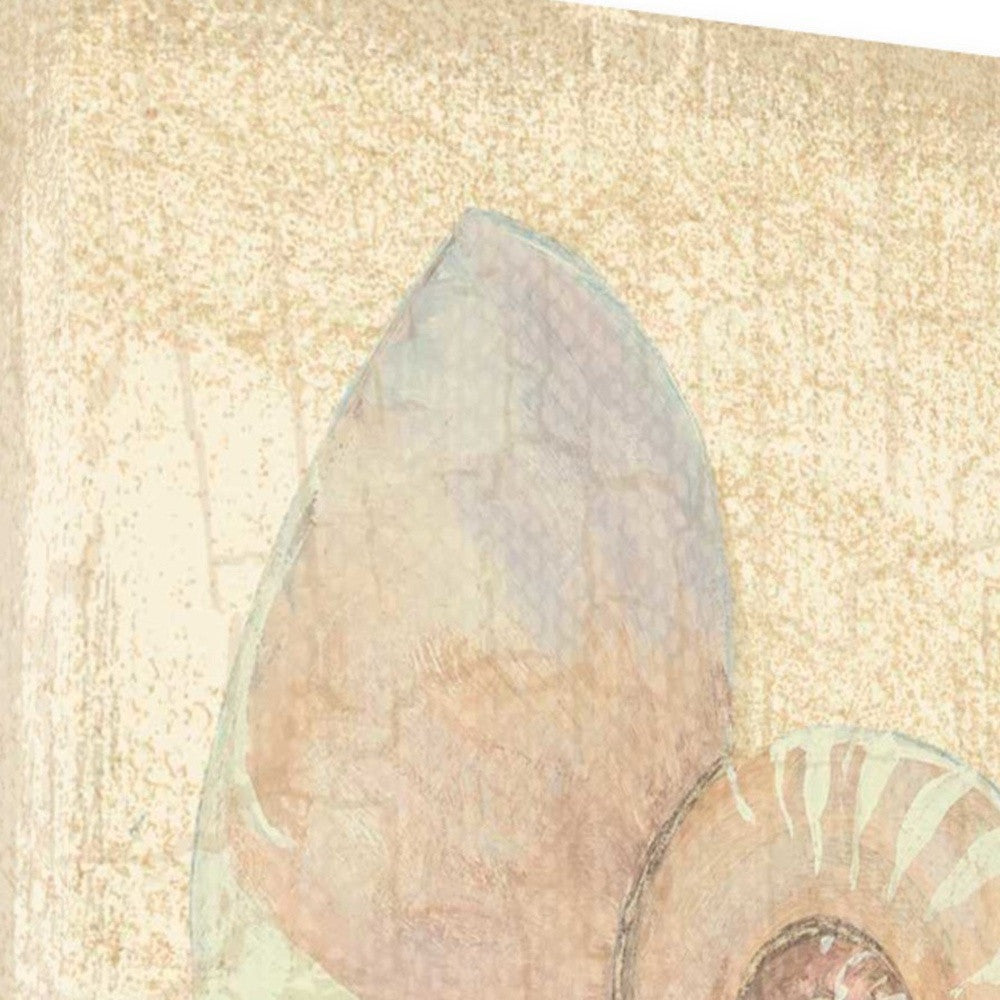HomeRoots 24" Soft Pastel Seashell Giclee Wrap Canvas Wall Art