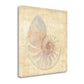 HomeRoots 24" Soft Pastel Seashell Giclee Wrap Canvas Wall Art