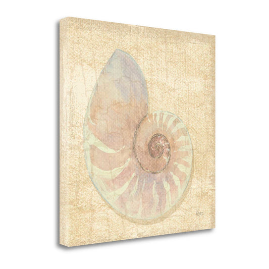 HomeRoots 24" Soft Pastel Seashell Giclee Wrap Canvas Wall Art