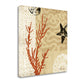 HomeRoots 24" Underwater Coral with Starfish and Sandollar 2 Giclee Wrap Canvas Wall Art