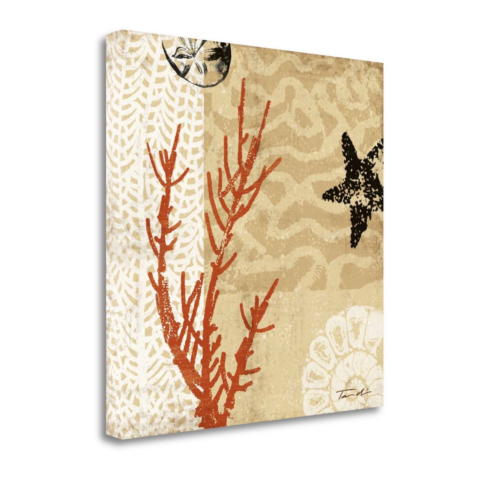 HomeRoots 24" Underwater Coral with Starfish and Sandollar 2 Giclee Wrap Canvas Wall Art