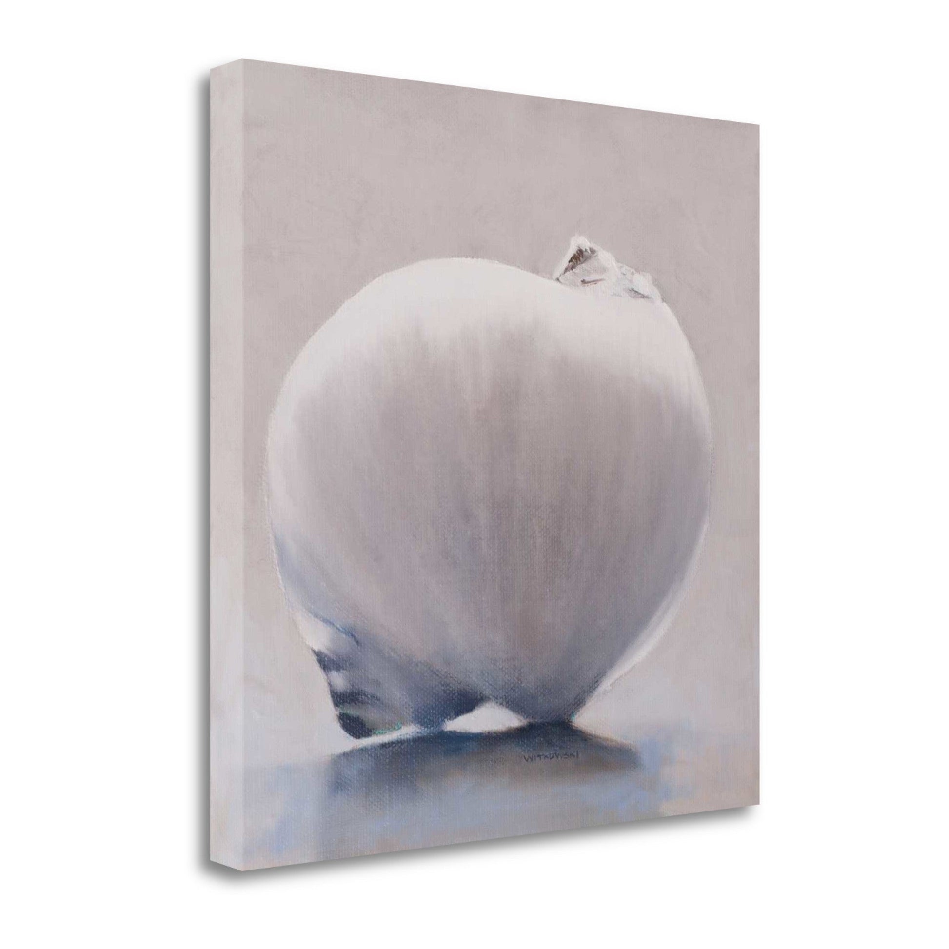 HomeRoots 24" Unique View of Sea Shell Giclee Wrap Canvas Wall Art