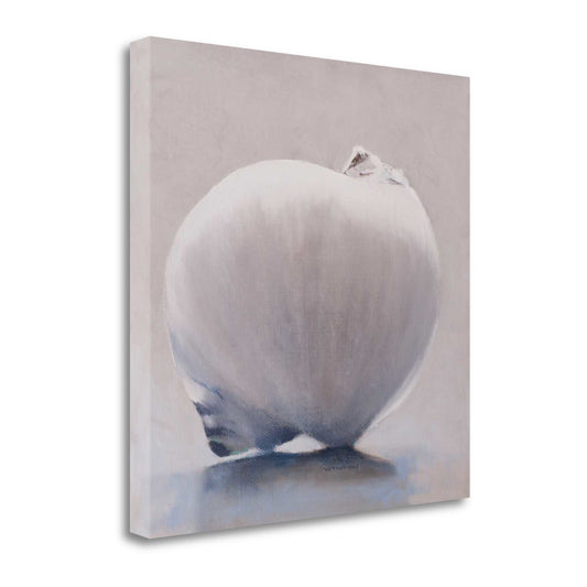 HomeRoots 24" Unique View of Sea Shell Giclee Wrap Canvas Wall Art