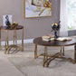 HomeRoots 24" x 24" x 24" Walnut And Champagne Metal End Table