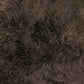 HomeRoots 24" x 36" Single Sheepskin Area Rug in Chocolate Finish