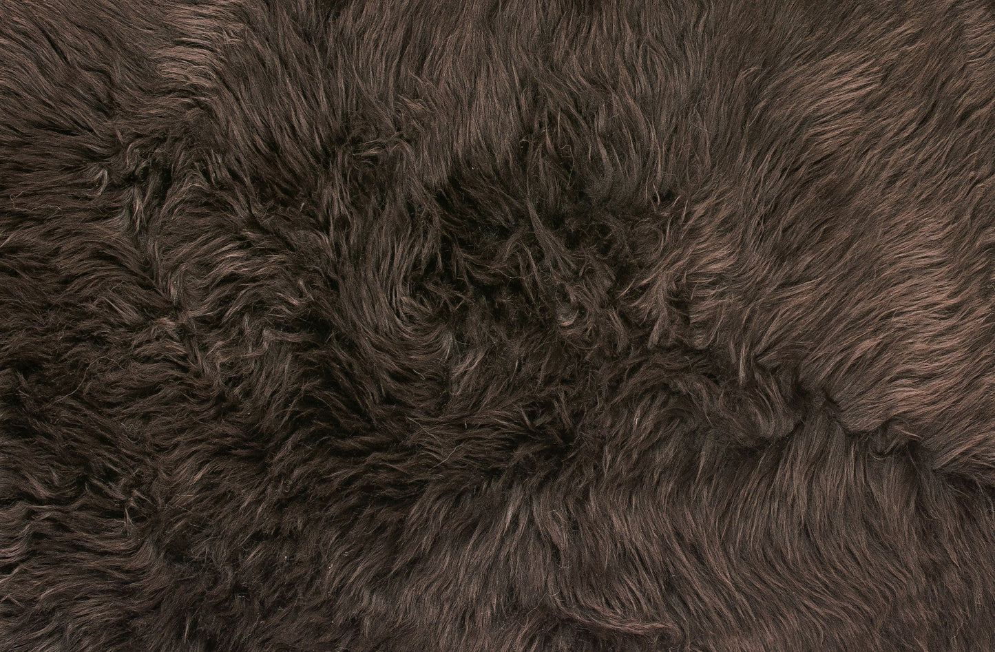 HomeRoots 24" x 36" Single Sheepskin Area Rug in Chocolate Finish