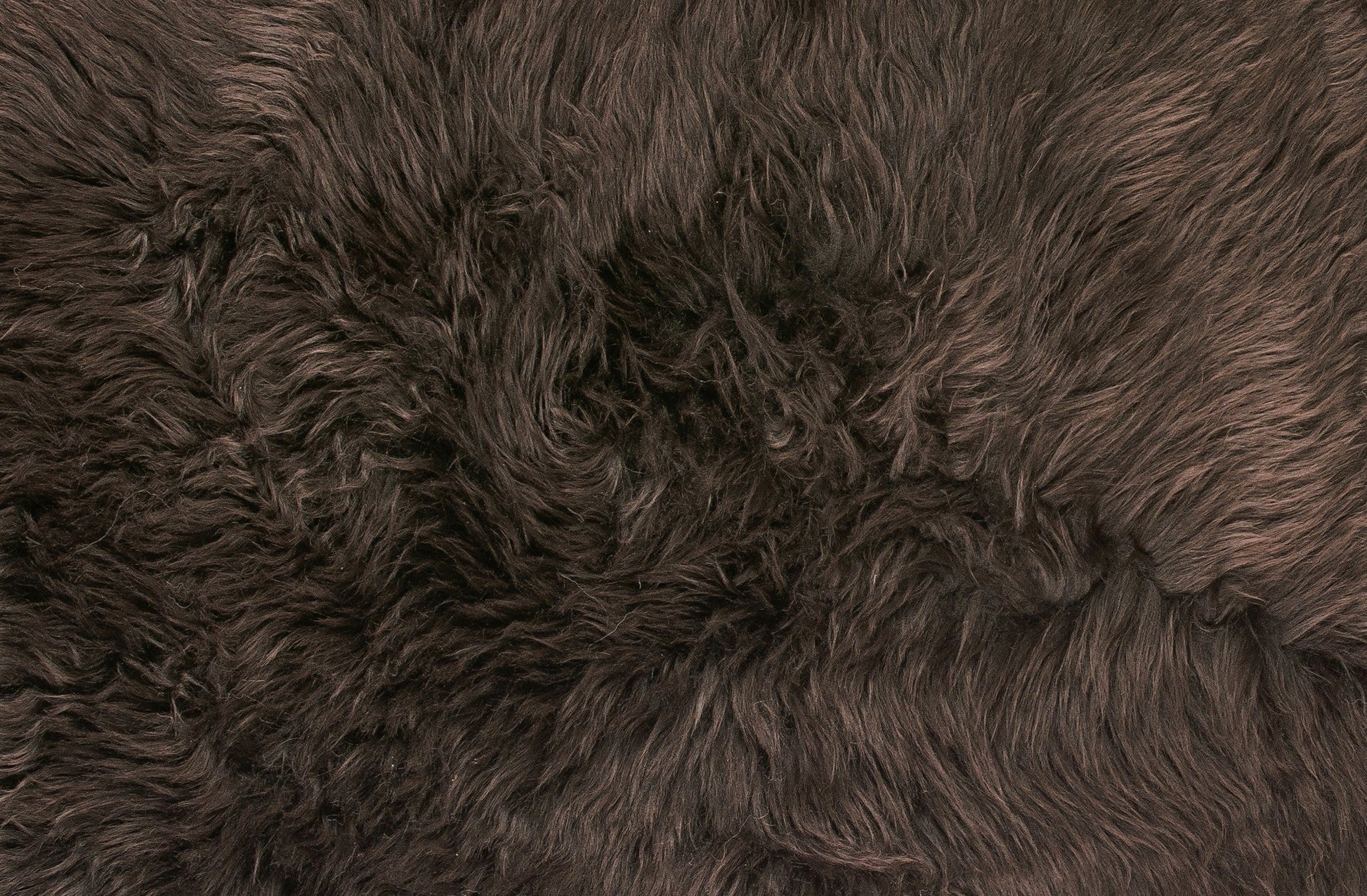 HomeRoots 24" x 36" Single Sheepskin Area Rug in Chocolate Finish