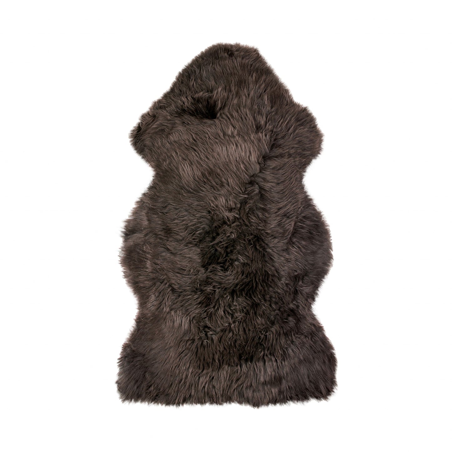 HomeRoots 24" x 36" Single Sheepskin Area Rug in Chocolate Finish