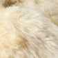 HomeRoots 24" x 36" x 1.5" Single Sheepskin Area Rug With Gold Finish
