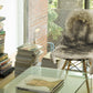 HomeRoots 24" x 36" x 1.5" Single Sheepskin Area Rug in Gradient Gray Finish