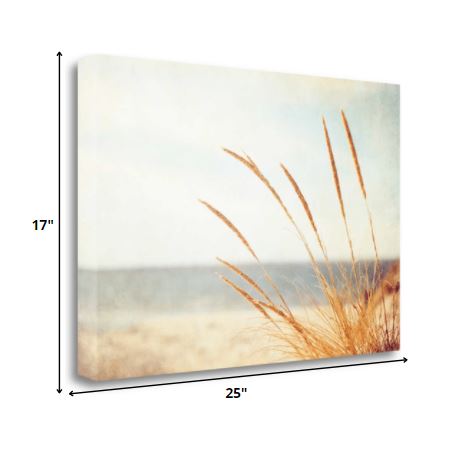 HomeRoots 25" Golden Swaying Beach Grass Giclee Wrap Canvas Wall Art