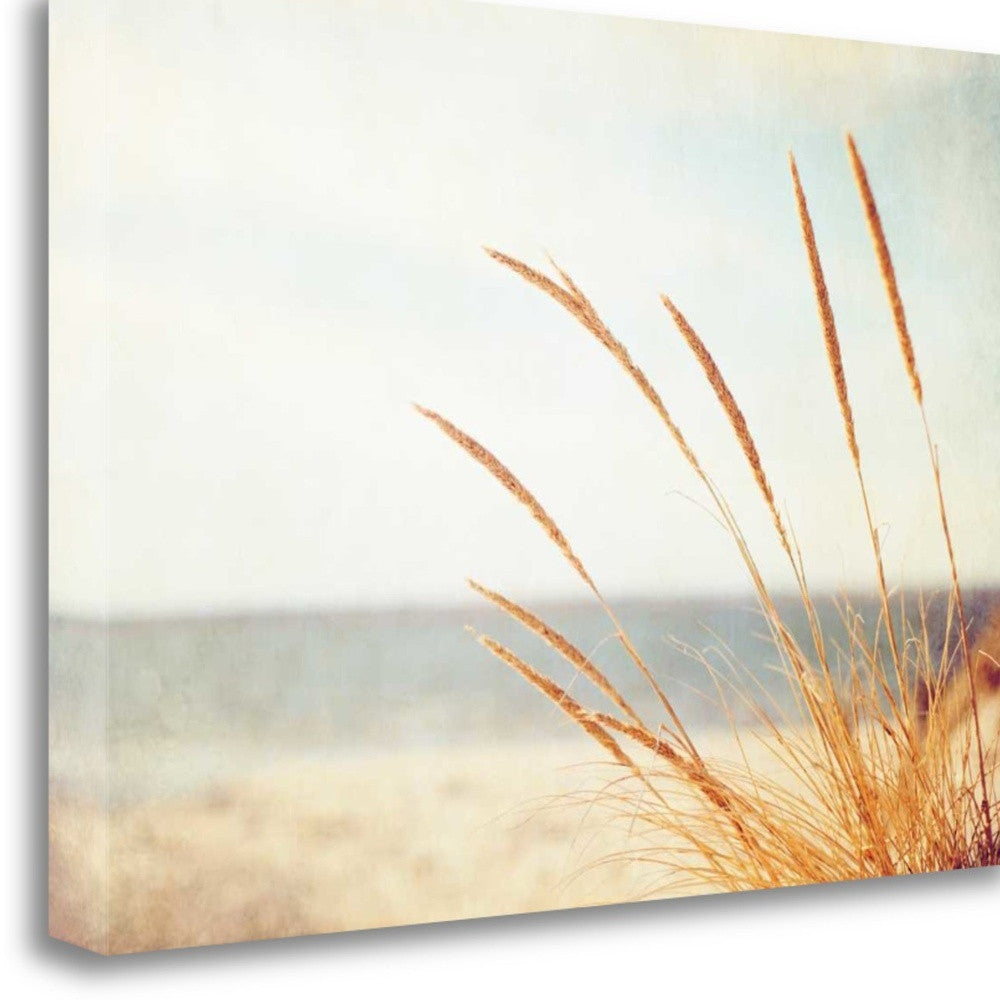 HomeRoots 25" Golden Swaying Beach Grass Giclee Wrap Canvas Wall Art