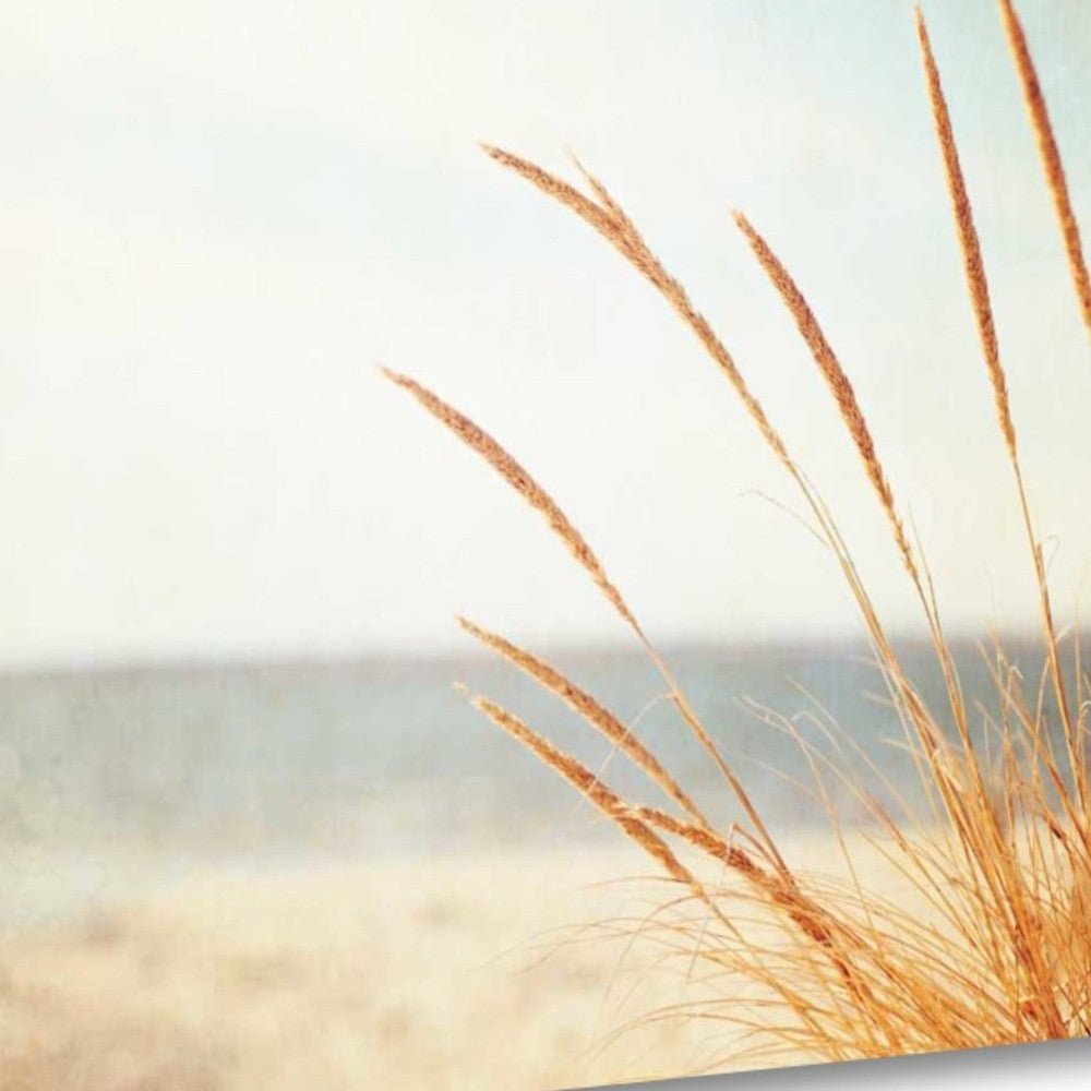 HomeRoots 25" Golden Swaying Beach Grass Giclee Wrap Canvas Wall Art