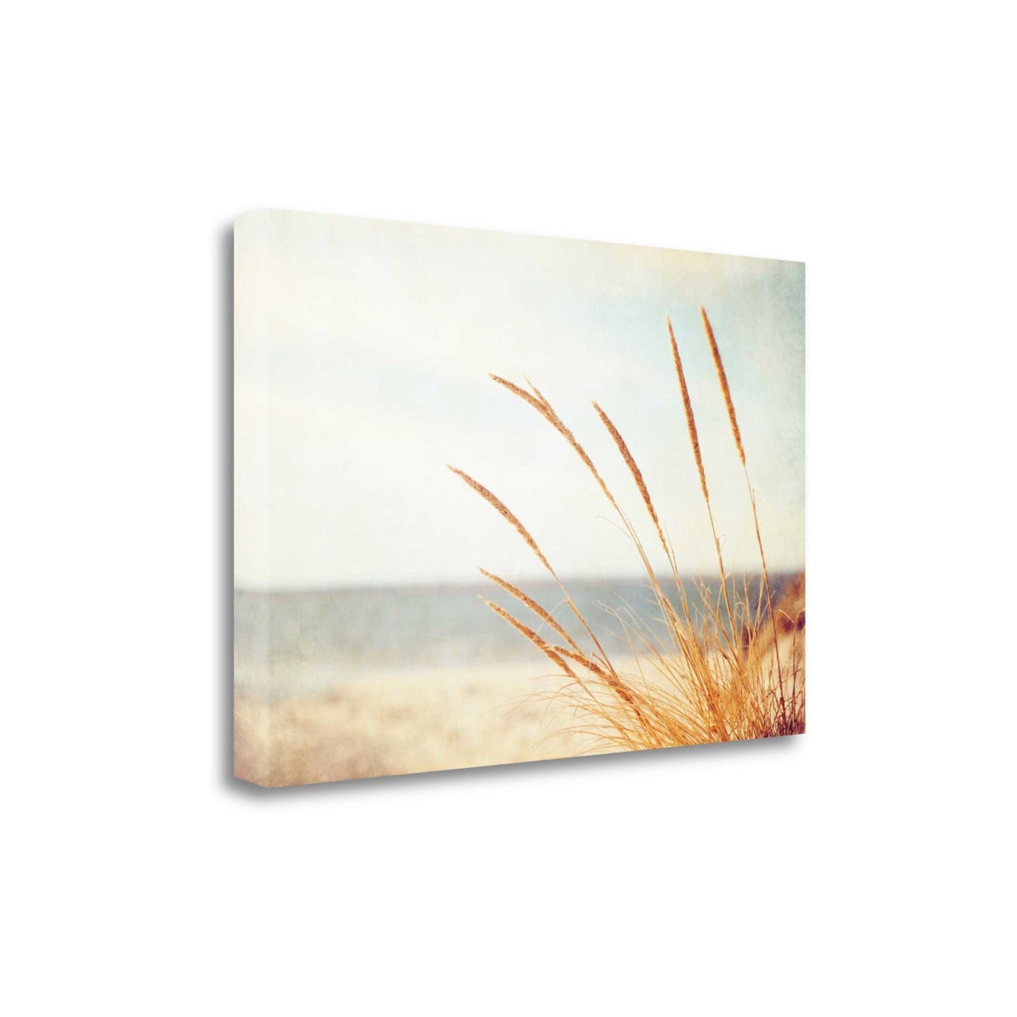HomeRoots 25" Golden Swaying Beach Grass Giclee Wrap Canvas Wall Art