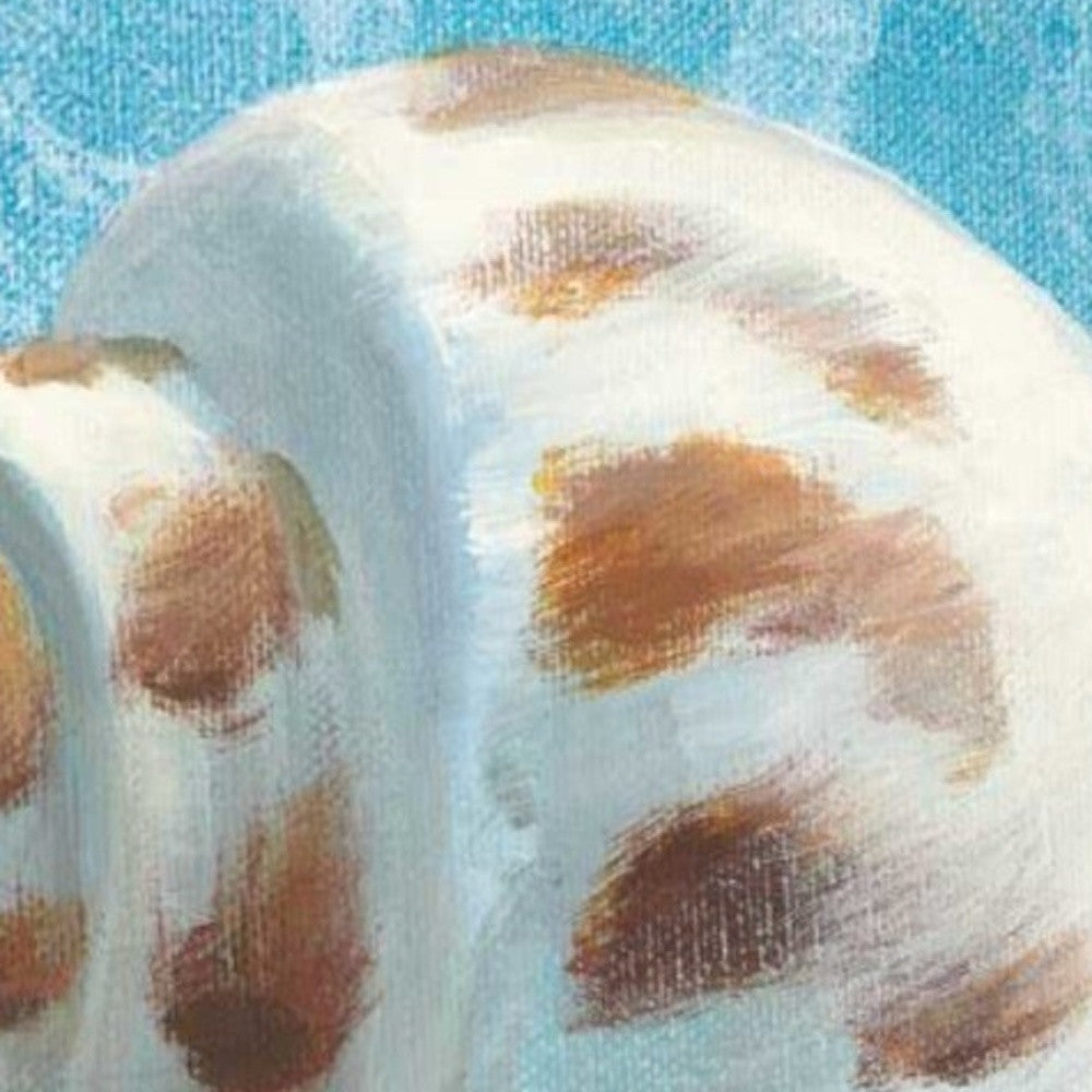 HomeRoots 25" Mod Blue Scroll Coastal Conch 2 Giclee Wrap Canvas Wall Art