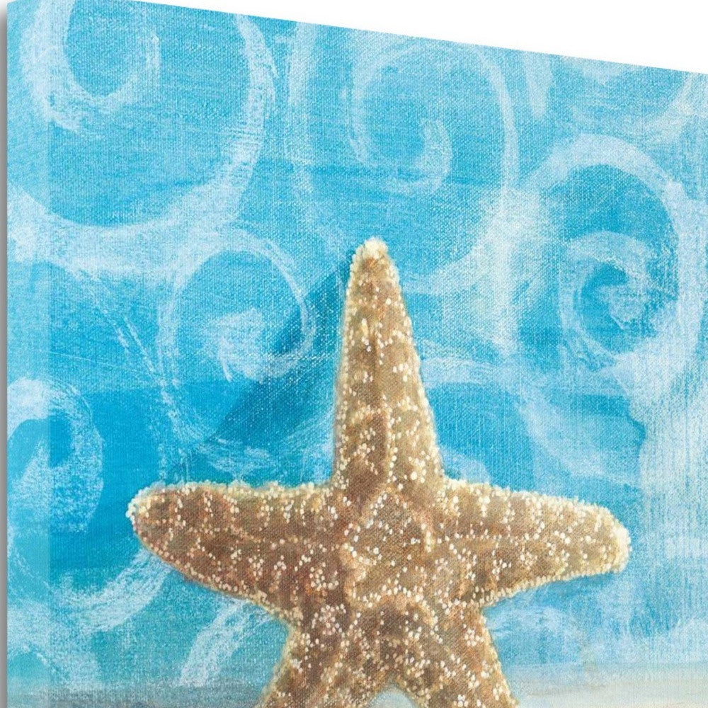 HomeRoots 25" Mod Blue Scroll Coastal Conch 3 Giclee Wrap Canvas Wall Art