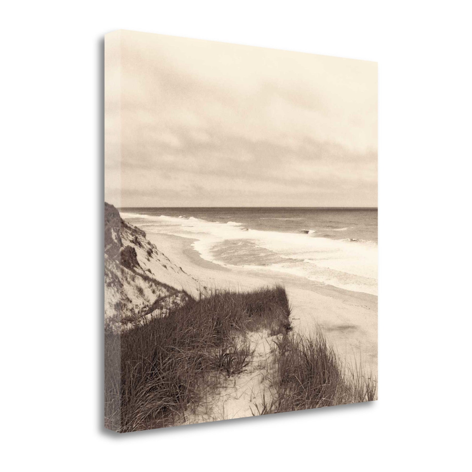 HomeRoots 25" Retro Vintage Sand Dunes Giclee Wrap Canvas Wall Art