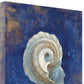 HomeRoots 25" Rustic Deep Blue and Gold Conch Giclee Wrap Canvas Wall Art