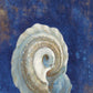 HomeRoots 25" Rustic Deep Blue and Gold Conch Giclee Wrap Canvas Wall Art