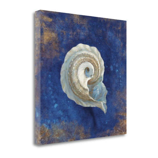 HomeRoots 25" Rustic Deep Blue and Gold Conch Giclee Wrap Canvas Wall Art
