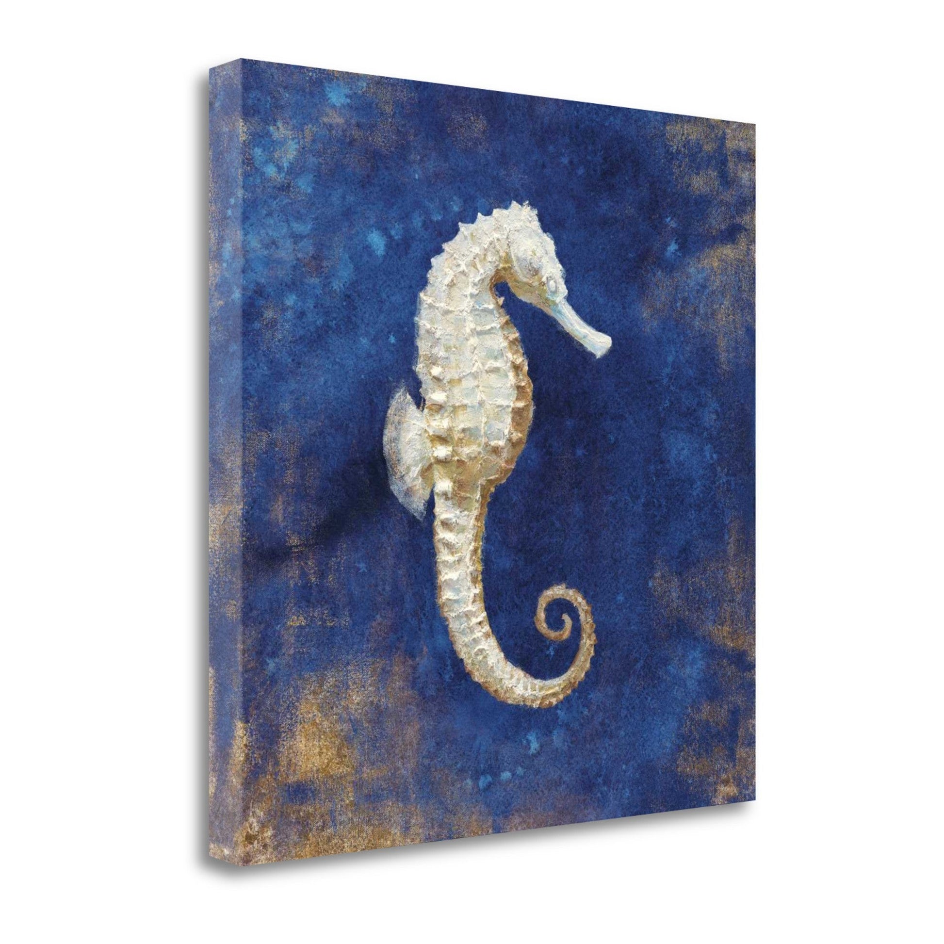 HomeRoots 25" Rustic Deep Blue and Gold Seahorse Giclee Wrap Canvas Wall Art