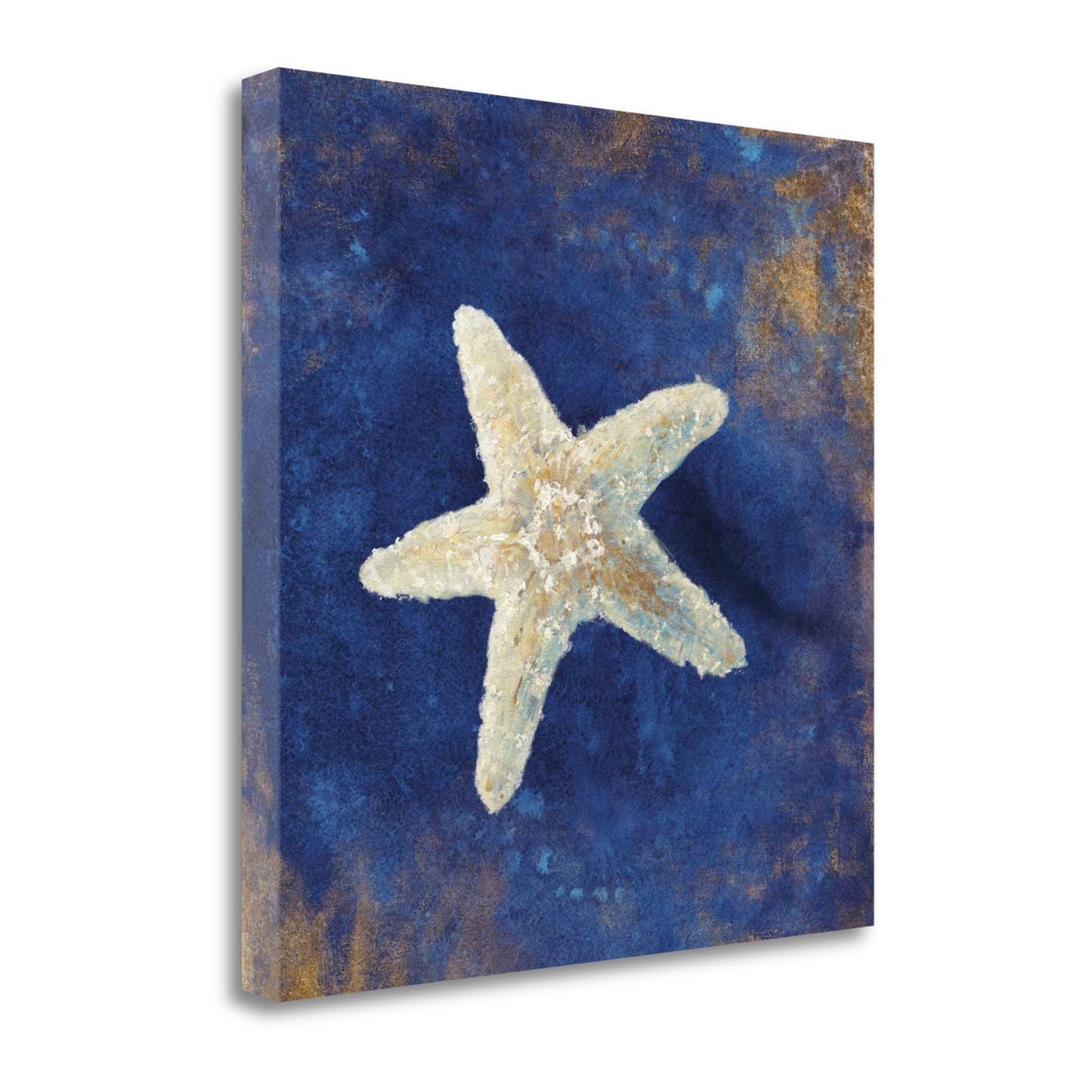 HomeRoots 25" Rustic Deep Blue and Gold Starfish Giclee Wrap Canvas Wall Art