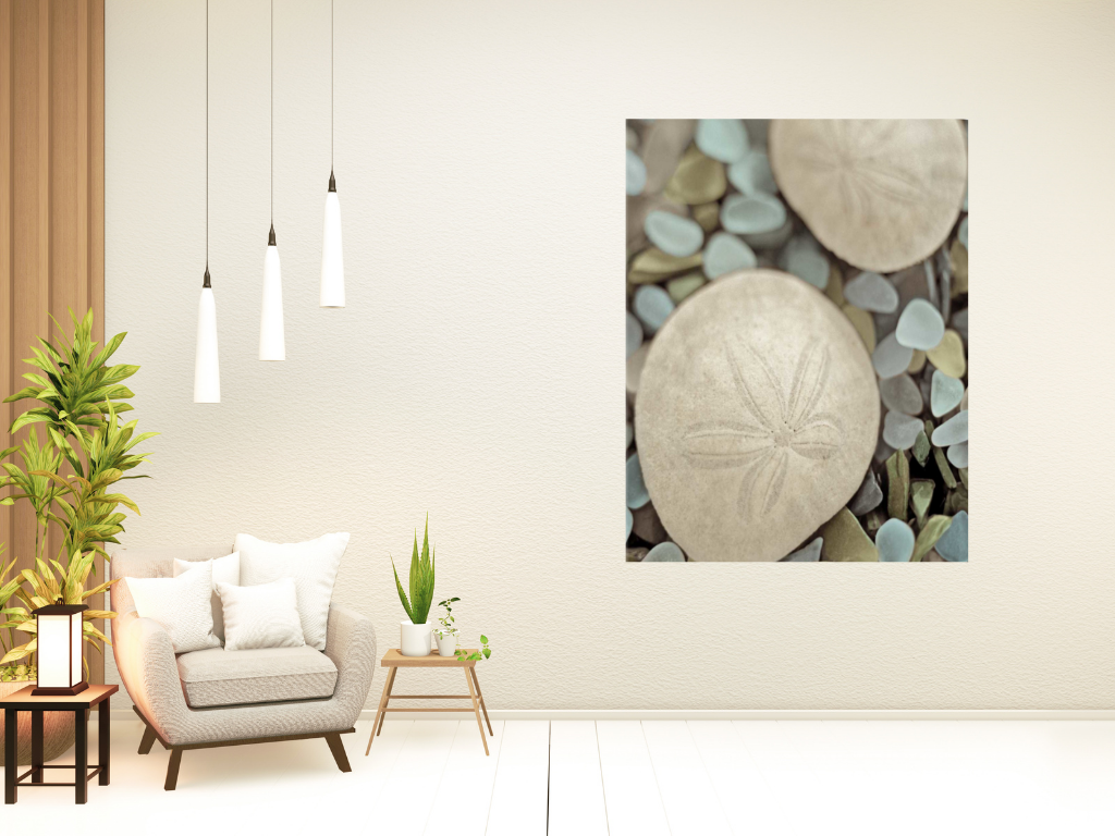 HomeRoots 25" Sand Dollar and Seaglass Giclee Wrap Canvas Wall Art