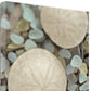 HomeRoots 25" Sand Dollar and Seaglass Giclee Wrap Canvas Wall Art
