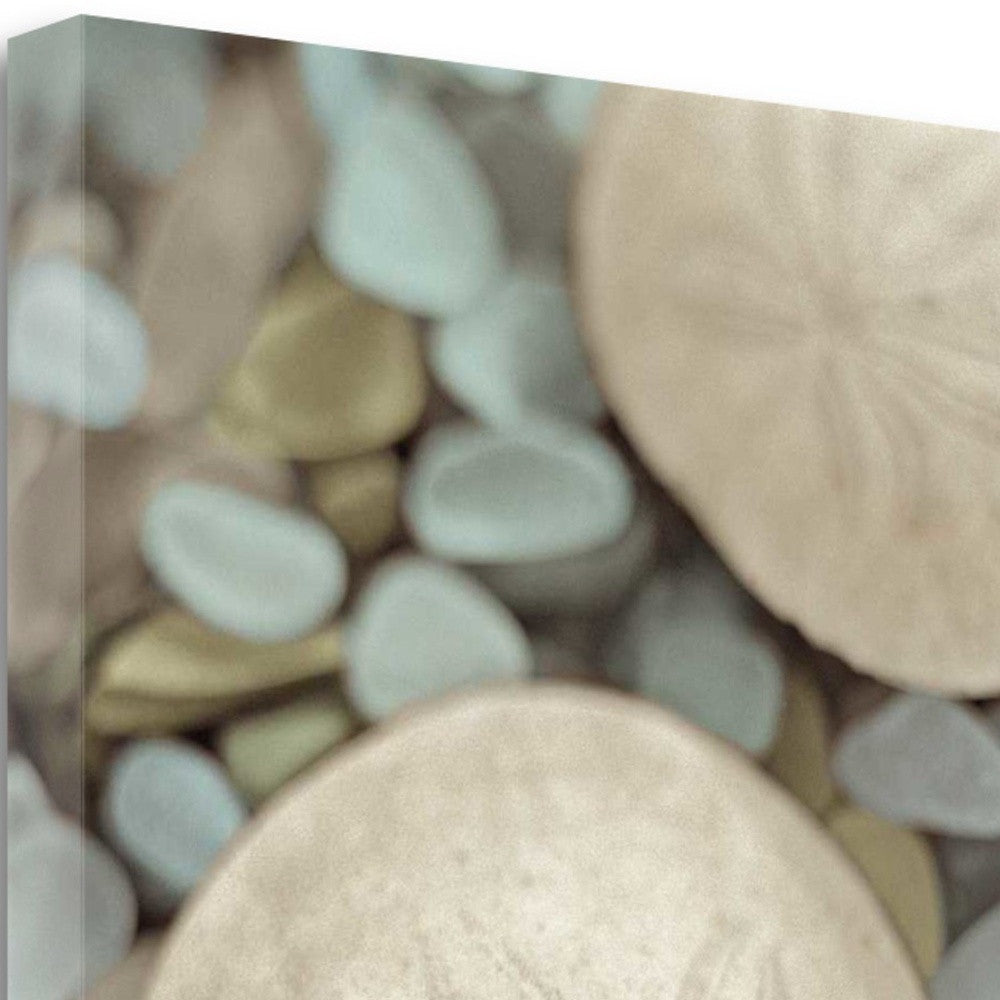 HomeRoots 25" Sand Dollar and Seaglass Giclee Wrap Canvas Wall Art