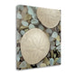 HomeRoots 25" Sand Dollar and Seaglass Giclee Wrap Canvas Wall Art