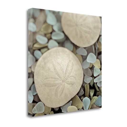 HomeRoots 25" Sand Dollar and Seaglass Giclee Wrap Canvas Wall Art