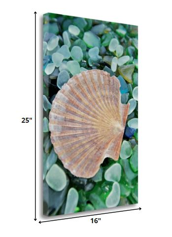 HomeRoots 25" Seashell and Seaglass Giclee Wrap Canvas Wall Art