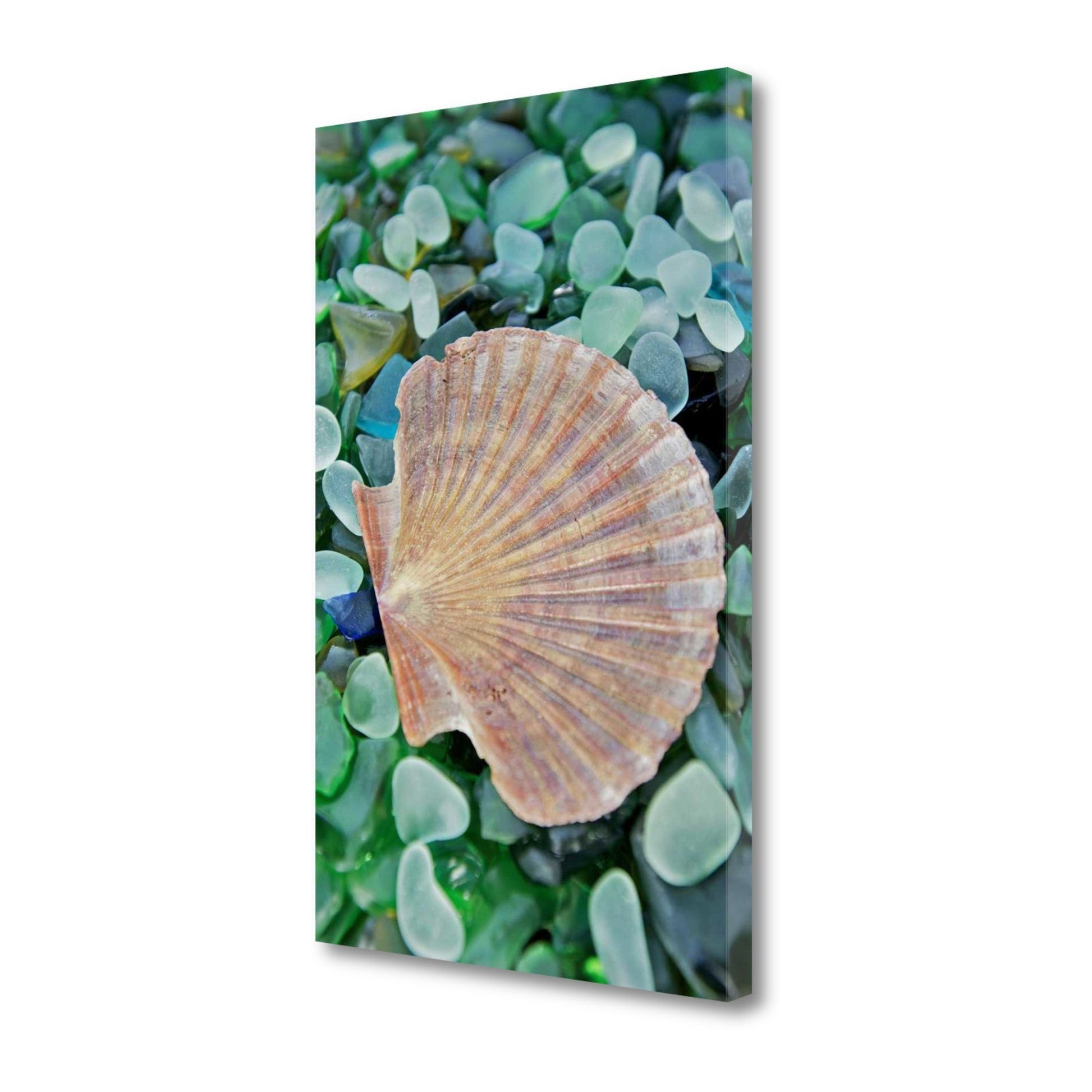 HomeRoots 25" Seashell and Seaglass Giclee Wrap Canvas Wall Art