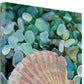 HomeRoots 25" Seashell and Seaglass Giclee Wrap Canvas Wall Art