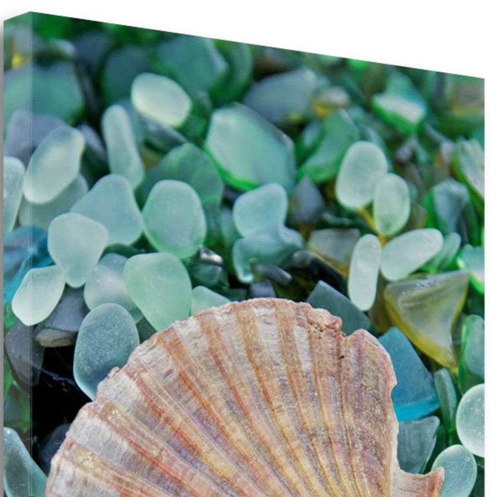 HomeRoots 25" Seashell and Seaglass Giclee Wrap Canvas Wall Art
